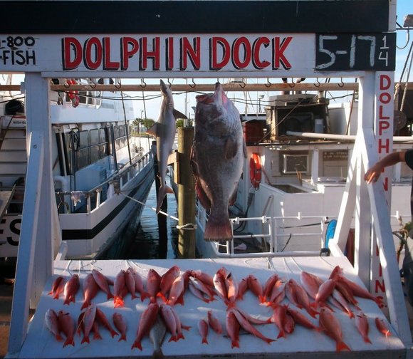 fishing in texas dolphin dock