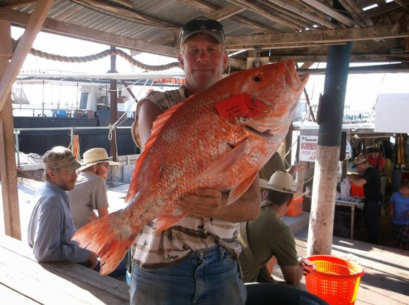Deep Sea Fishing in Texas and Other Port Aransas Attractions - Port Aransas  Attractions and Deep Sea Fishing in Texas